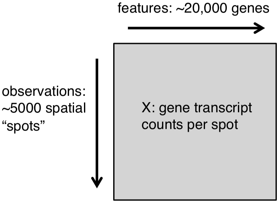 Schematic of data format from 10x Genomics Visium platform.