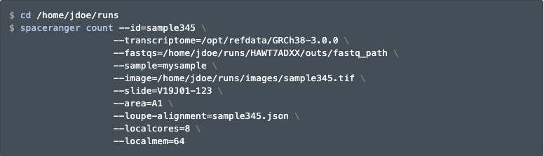 `spaceranger count` example usage. Source: [10x Genomics](https://support.10xgenomics.com/spatial-gene-expression/software/pipelines/latest/using/count).