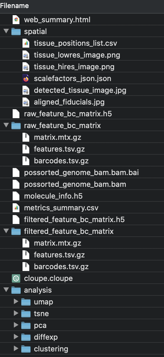 `spaceranger count` output files. See the [10x Genomics `spaceranger count` documentation](https://support.10xgenomics.com/spatial-gene-expression/software/pipelines/latest/using/count) for detailed descriptions of each of these files.